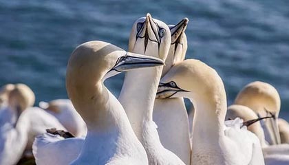 九游网页版官网-中国网球未来之星选拔计划正式启动，未来网球发展前景