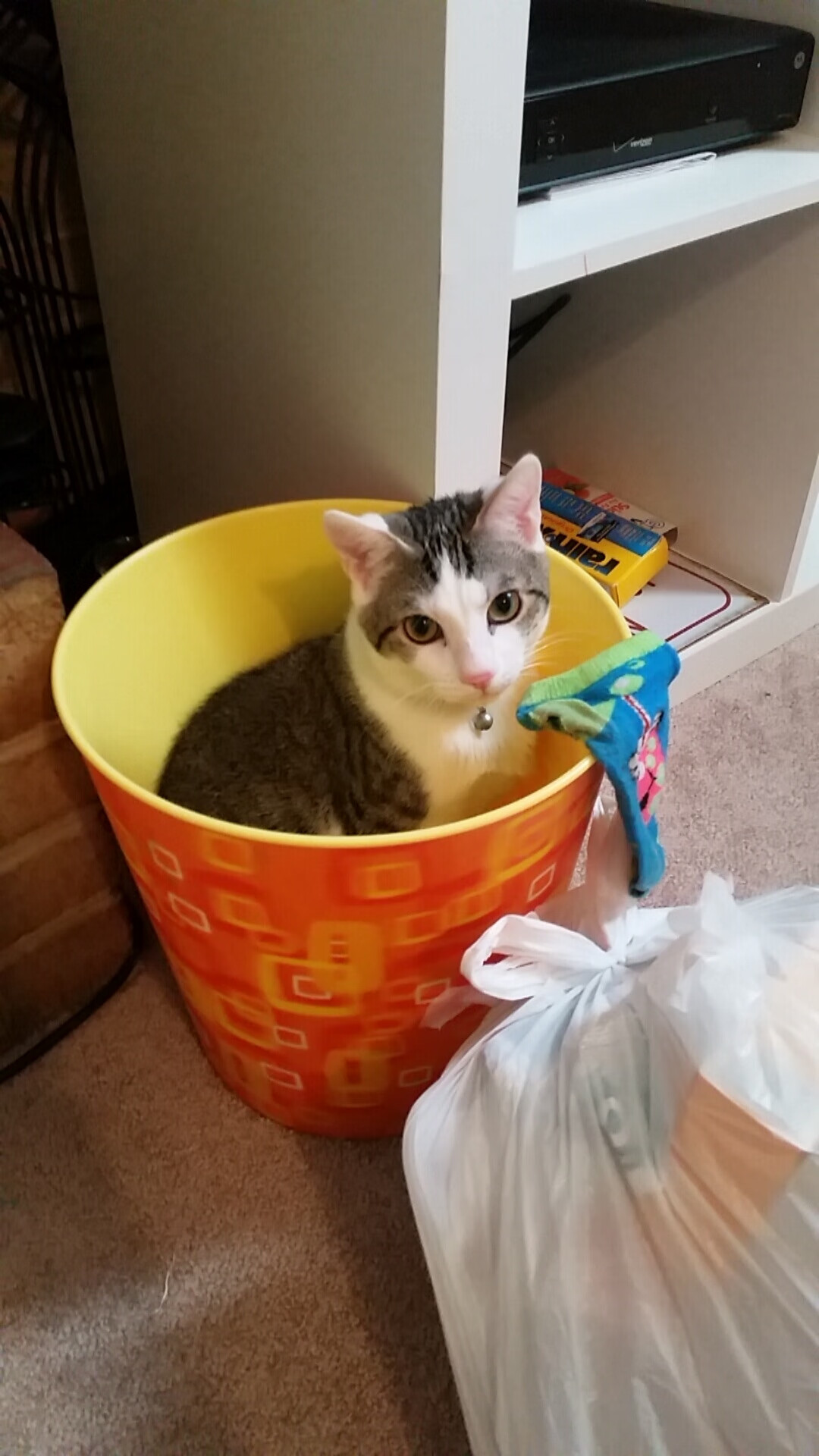 _运动员公益活动:回馈社会传递正能量_,运动员慈善