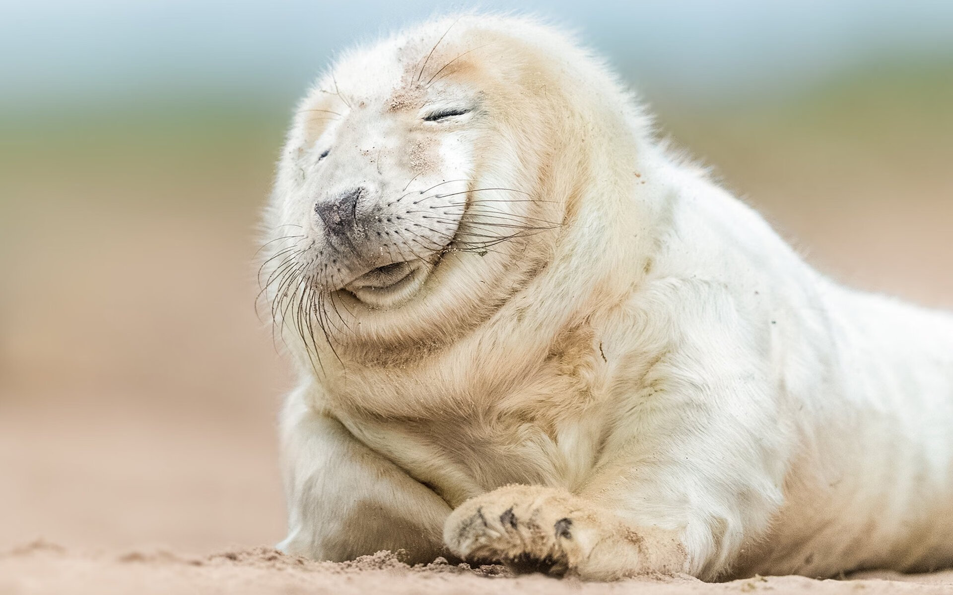 “登顶热潮,冠军争夺战火不断升级”,冠军盛典