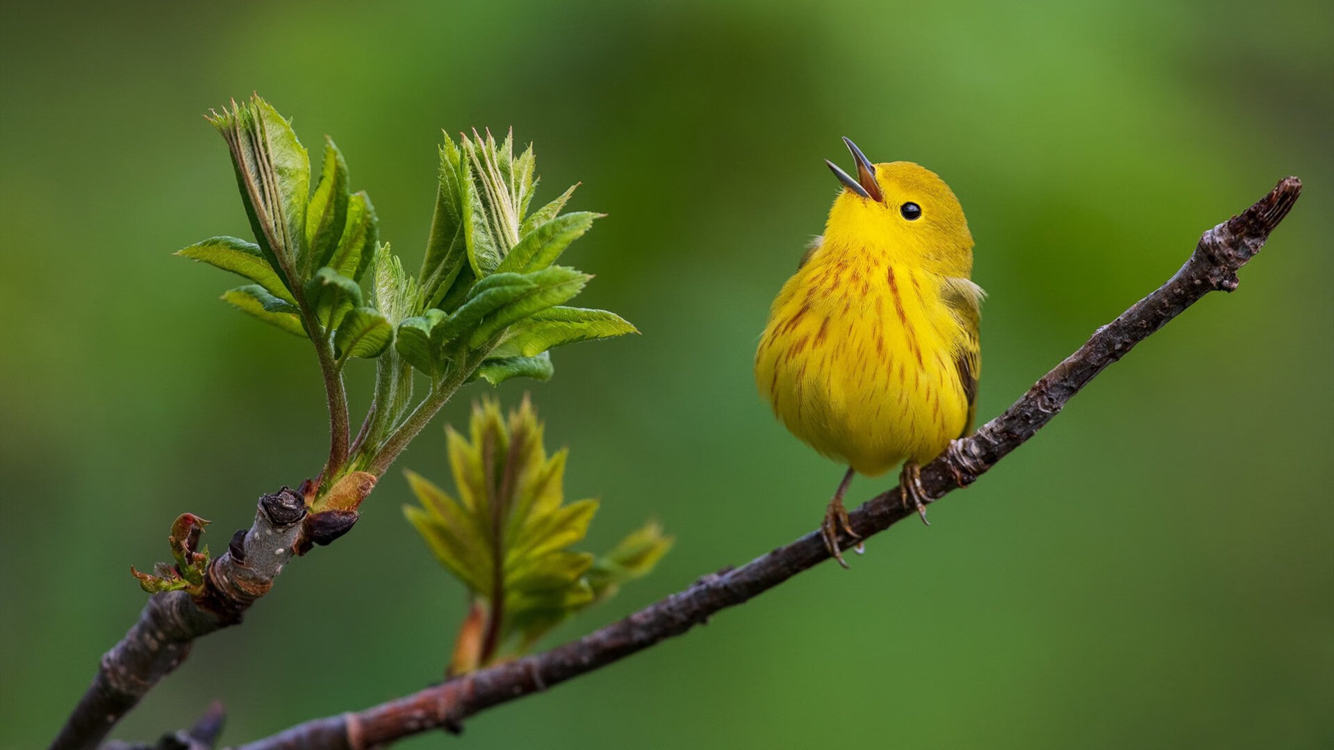 九游网页版官网-“青少年足球集训营火热开启，孩子们梦想起航”，青少年足球训练营简介
