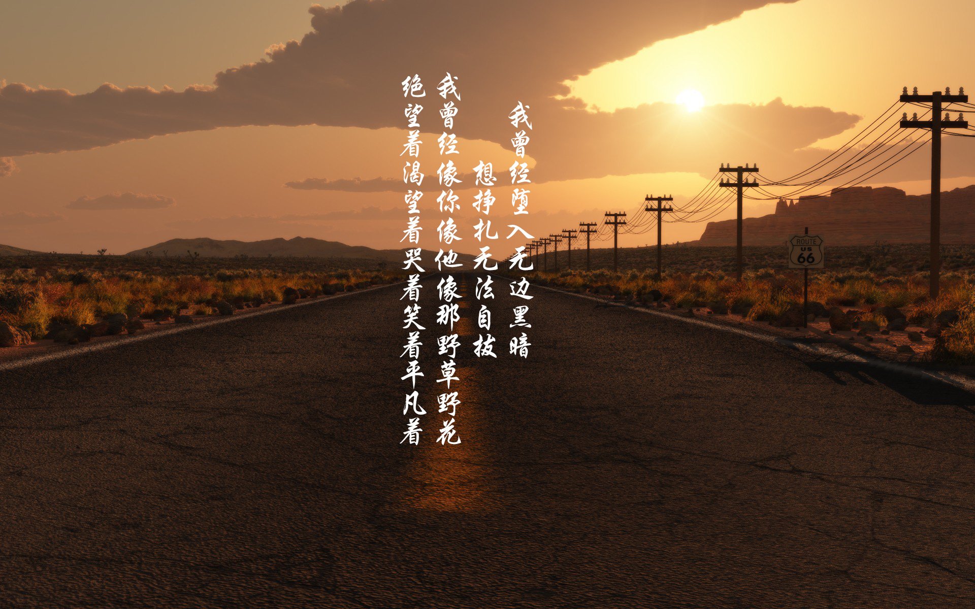 摩洛哥反曲弓选手在2024年非洲射箭锦标赛中表现出色