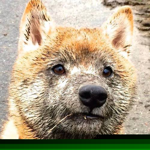 Jiuyou-游戏营销方式的变革：社交媒体与内容营销，游戏营销的概念