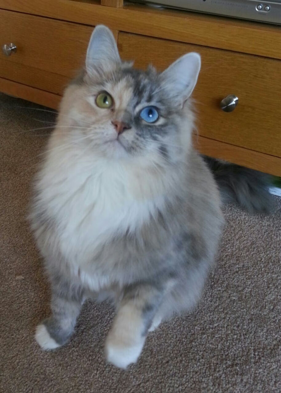 九游网-游戏物理引擎的突破：真实感与交互性，游戏物理引擎的突破_真实感与交互性的关系