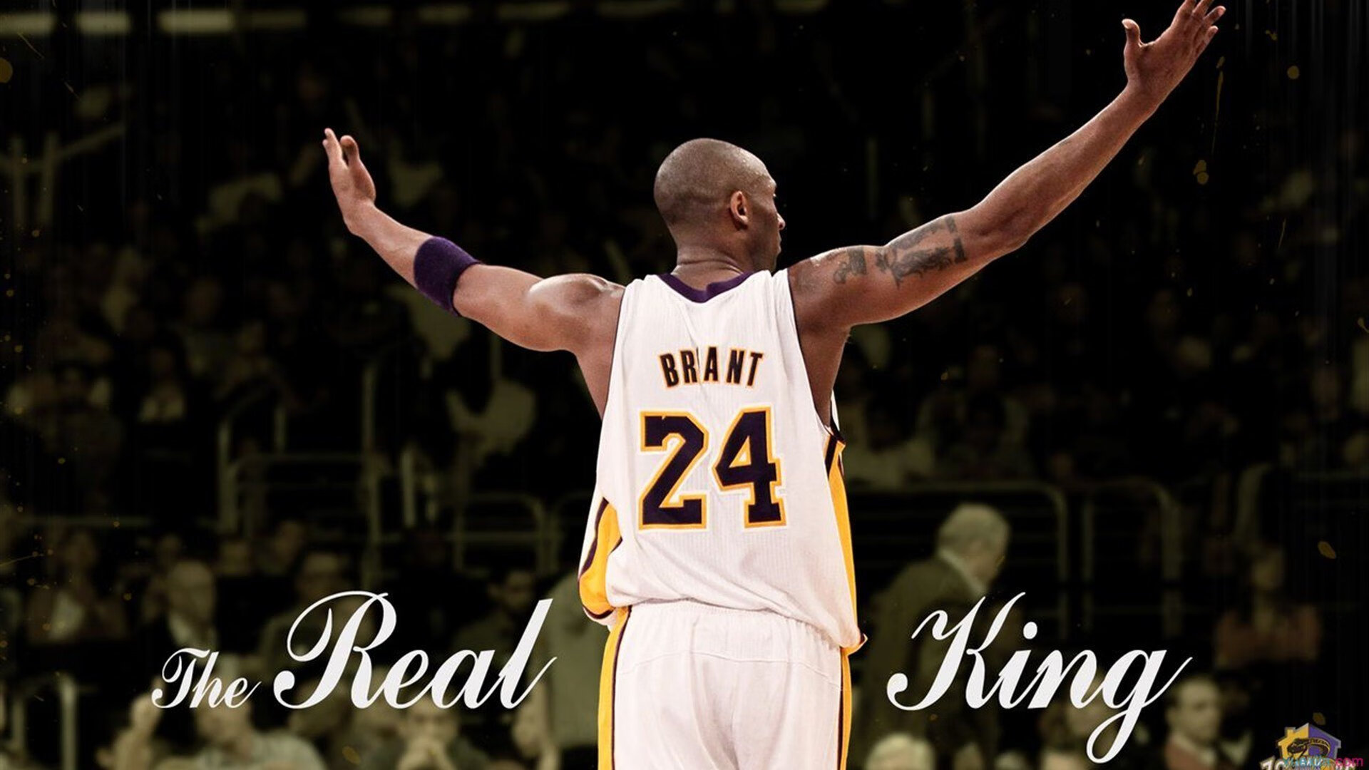 篮球公益训练营积极推广全民健身理念,篮球公益营销策划方案