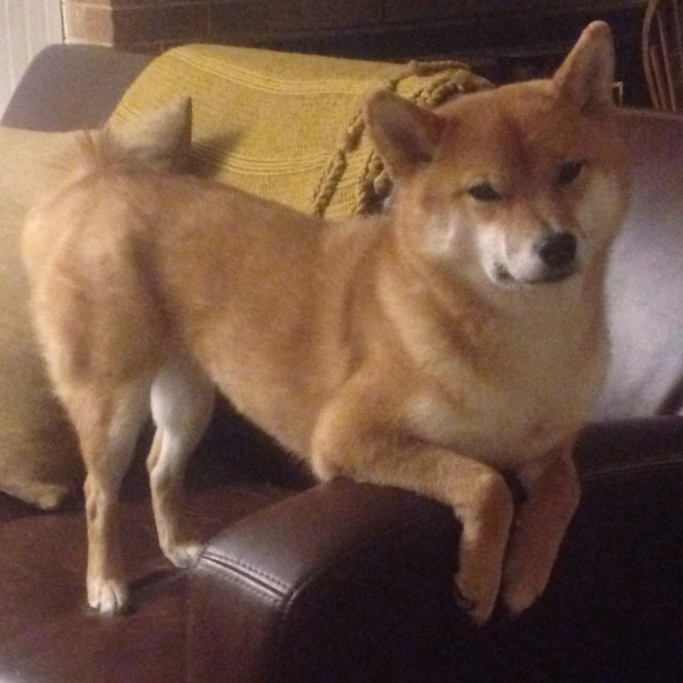 福建队新主场启用,球迷欢聚一堂迎盛事,福建篮球队主场