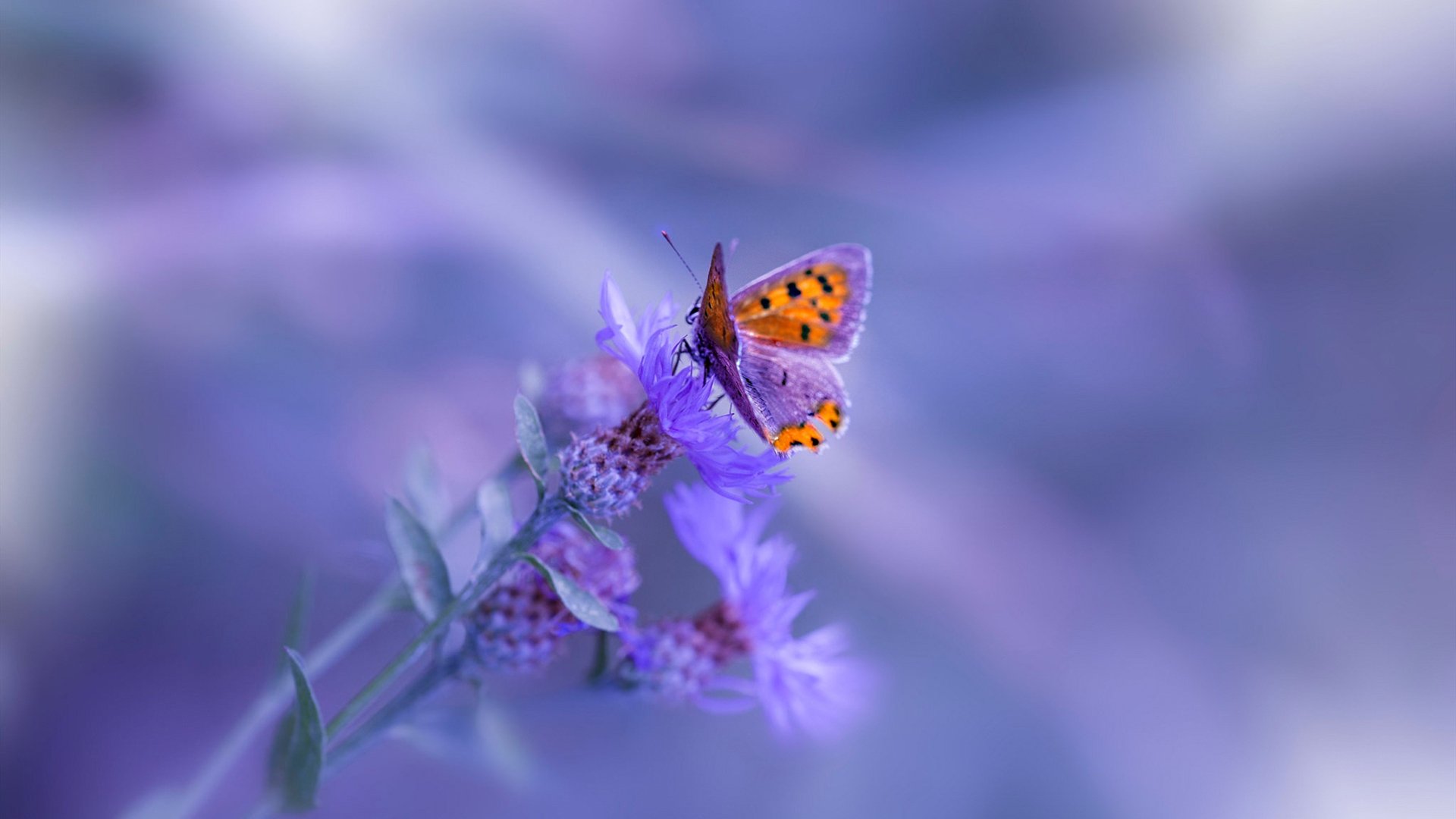 九游下载官网-EDG战队转会期引援动向，edg战队转会情况