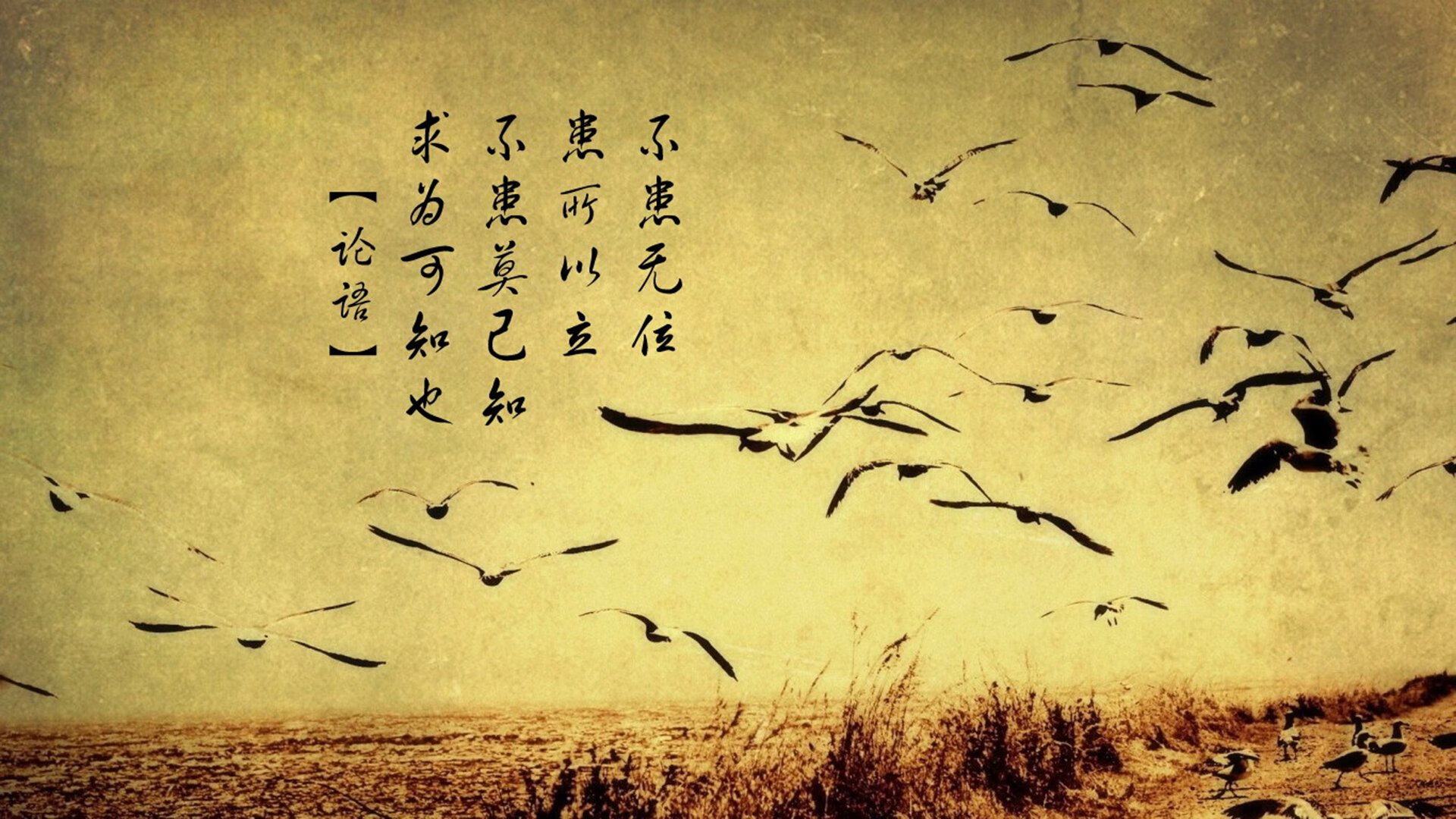 利物浦主场迎战沃特福德，犀利进攻难敌，利物浦对战沃特福德