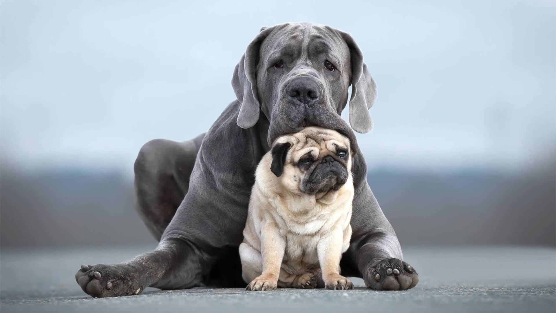 九游APP官网-利物浦中场轮换对进攻节奏有何影响，利物浦历史十大中场