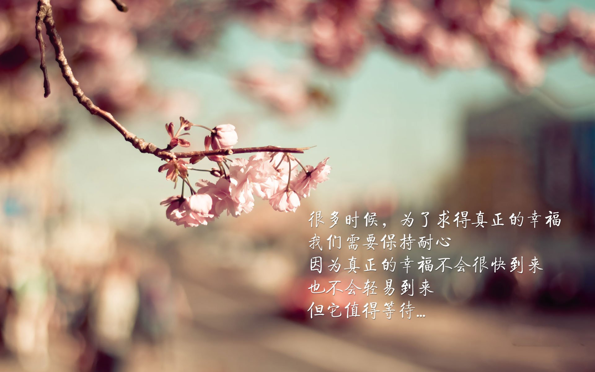 激烈体操比赛引爆话题,体操的比赛