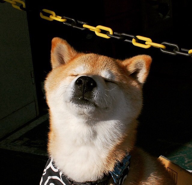 电竞游戏中的公平竞技环境建设与监管措施，电竞市场经济环境分析