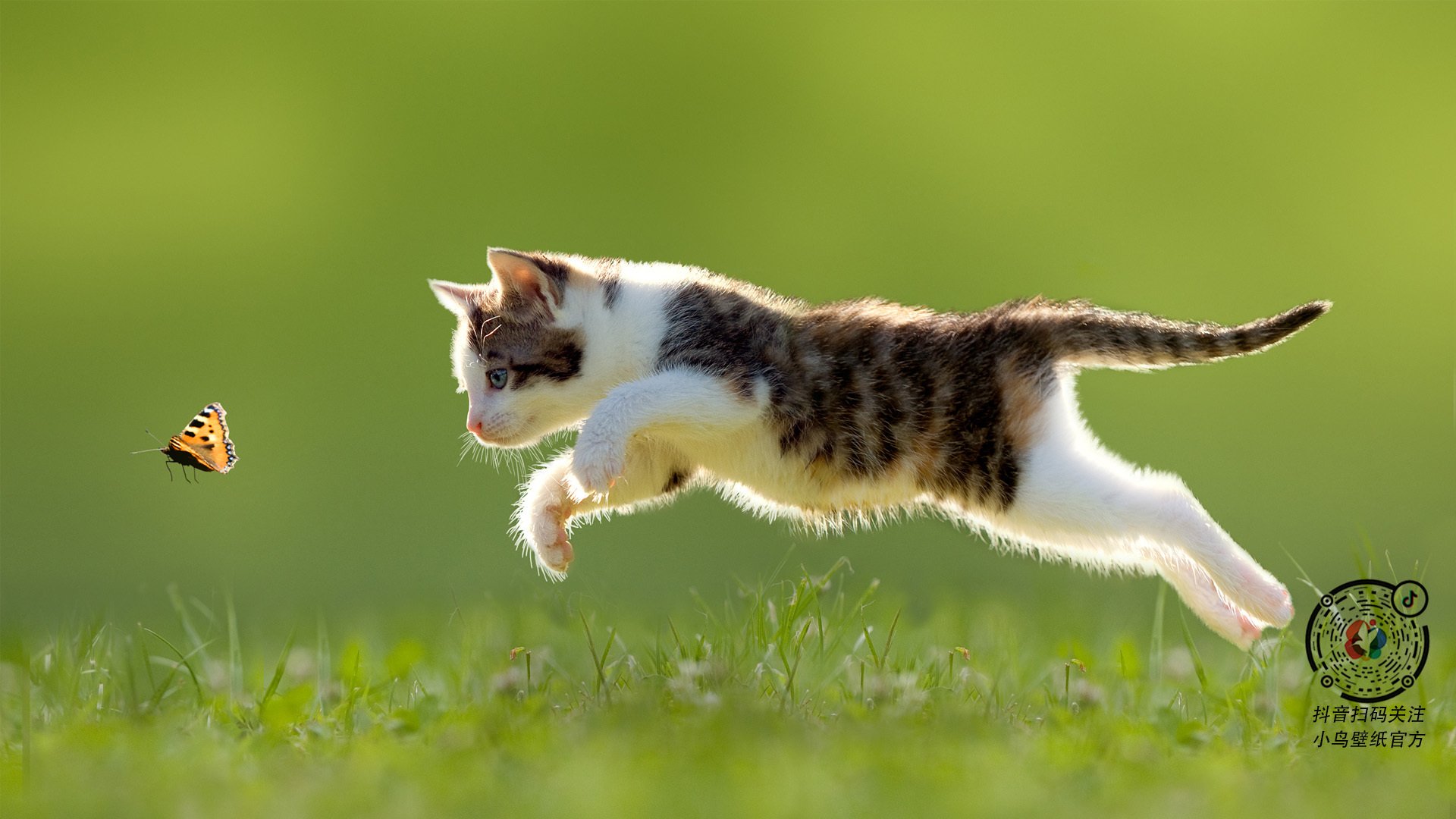 NBA球队防守策略演变趋势，nba防守体系