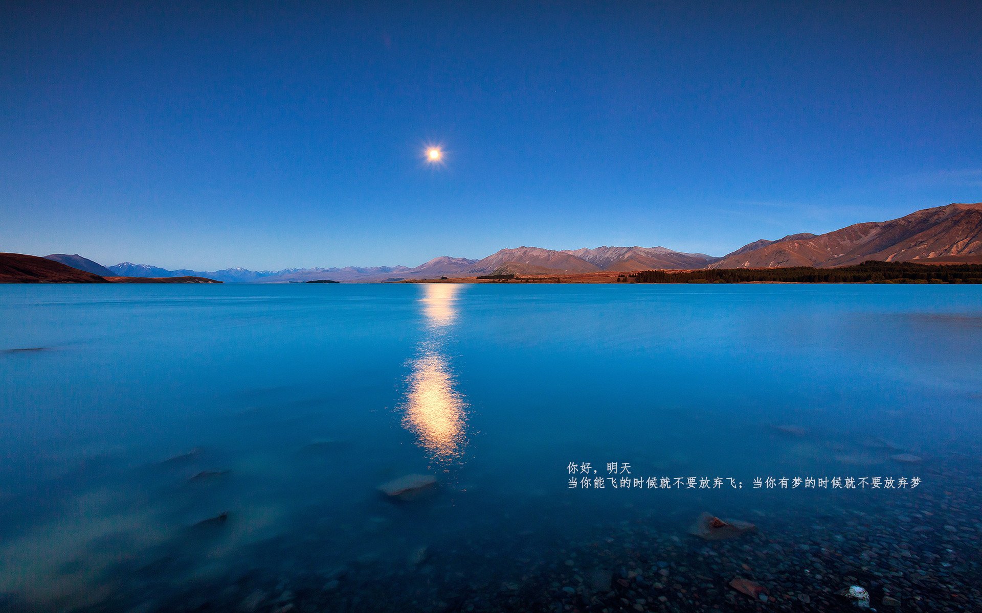 中国足球传中落点选择模式分析,足球落地才算出界吗