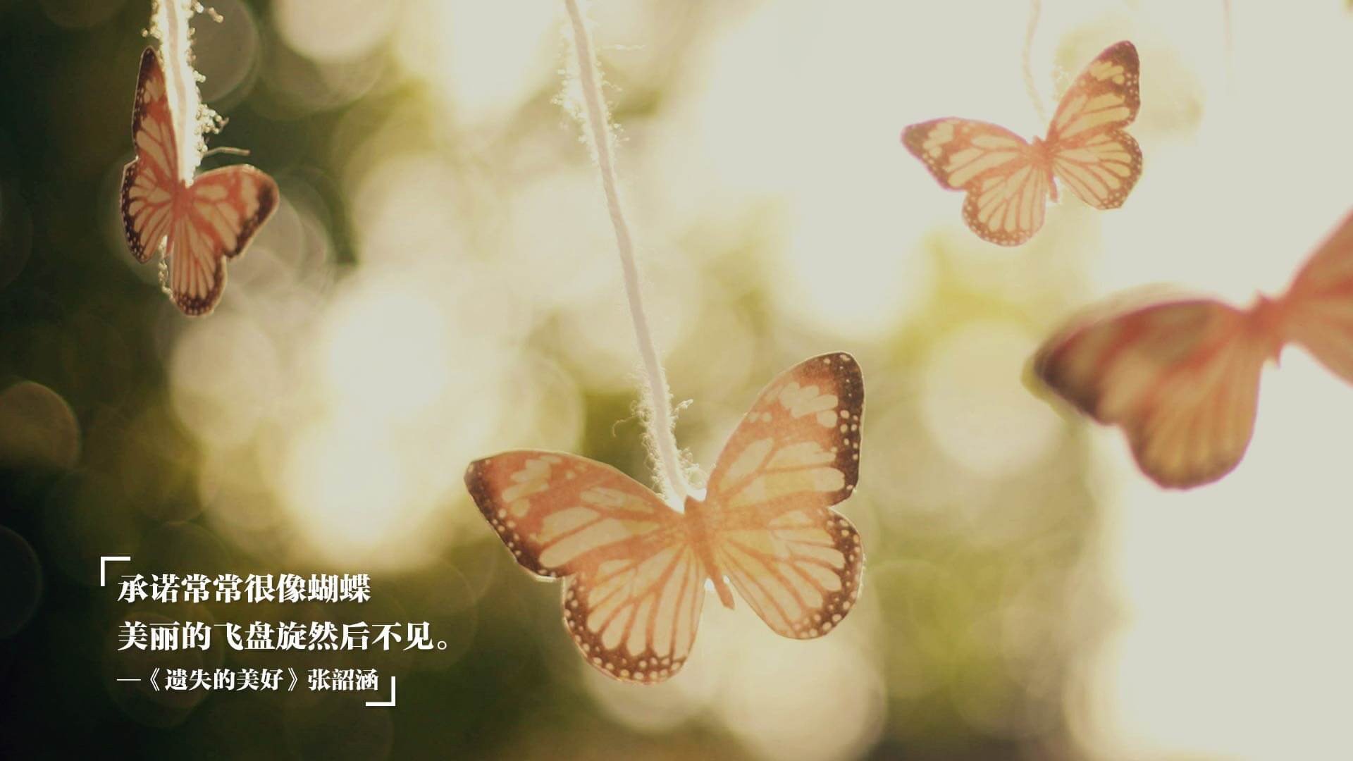 CBA球队优化战术体系 争取赛季佳绩，cba 阶段