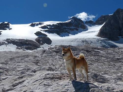 中国男篮注重团队沟通 提高场上协作效率,中国男篮最团结的一次