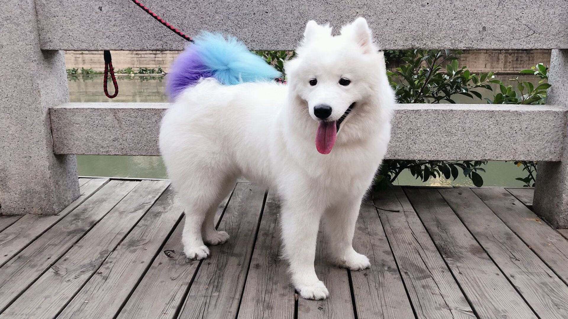 Jiu You-国家女篮注重对手研究提升比赛适应性，国家队女篮要求