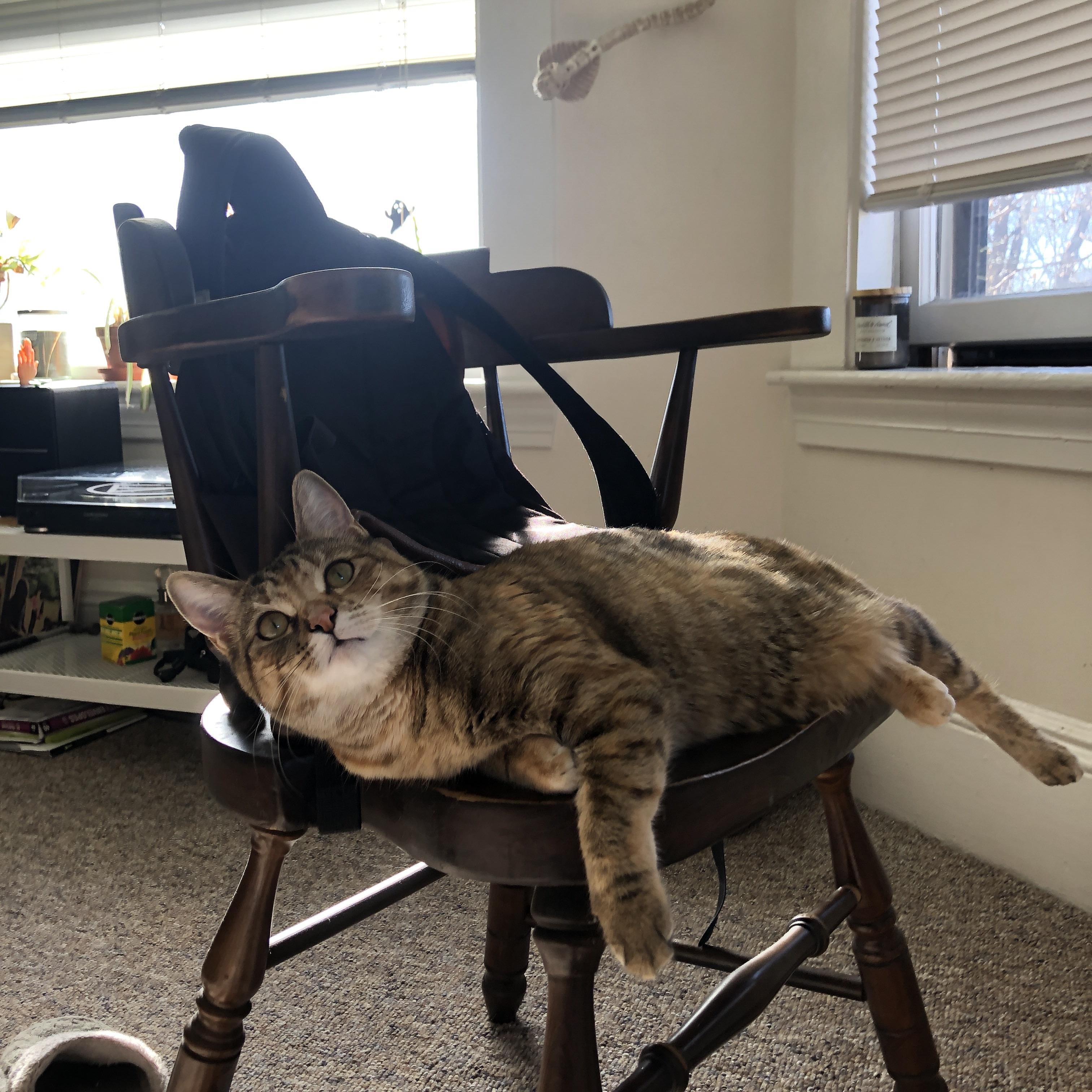 九游网页版官网-美选手划频高但配速下滑更快？