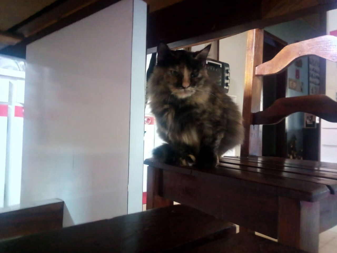 CBA俱乐部重视年轻球员比赛经验积累促进全面成长,cba俱乐部工作人员