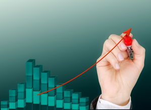 -体育公益项目影响力持续扩大，体育公益组织