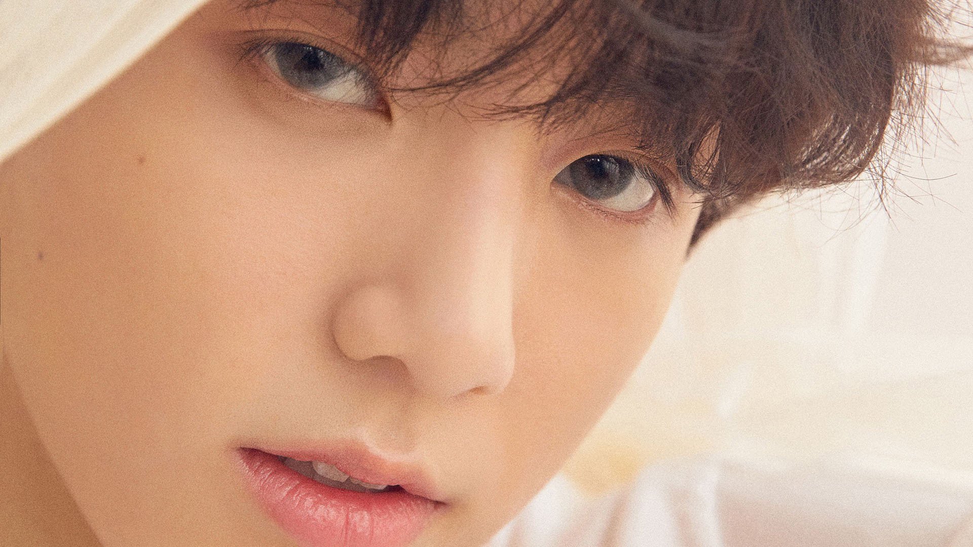 德甲队伍的战术调整技术分析,德甲阵营