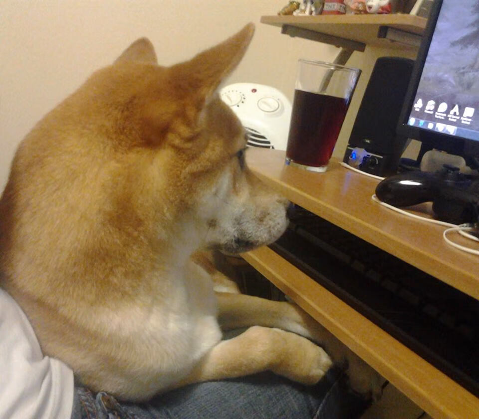 九游电脑版-青训教练纳入执教风格评估促进教学多样性，职业梯队青训教练招聘